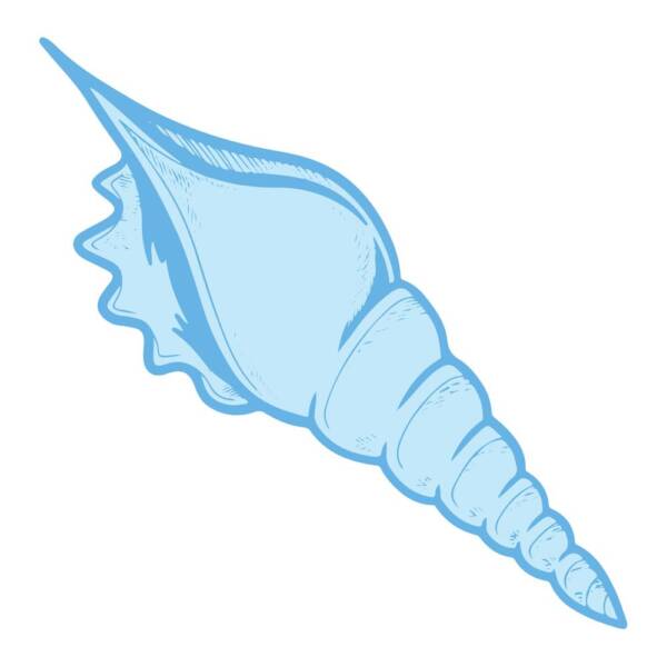 CC - Seaside Girl - Stamp & Die Set - Conical Seashell