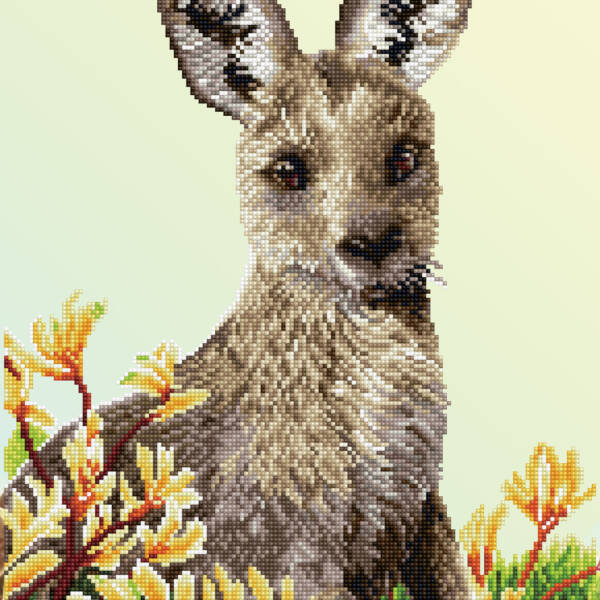 Diamond Dotz - Kangaroo & Kangaroo Paw - 41 x 51cm