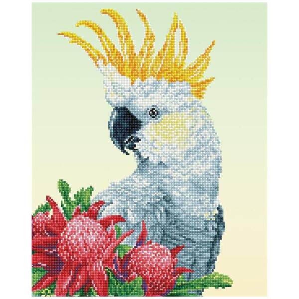 Diamond Dotz - White Cockatoo & Waratahs - 41 x 51cm