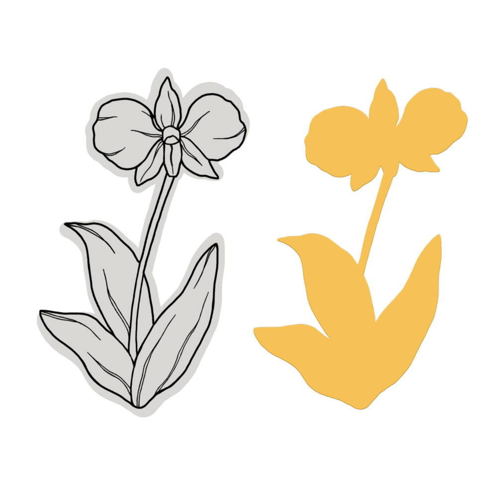 Couture Creations - Australia's Natural Beauties - Stamp and Die Set - Cooktown Orchid - Image 2