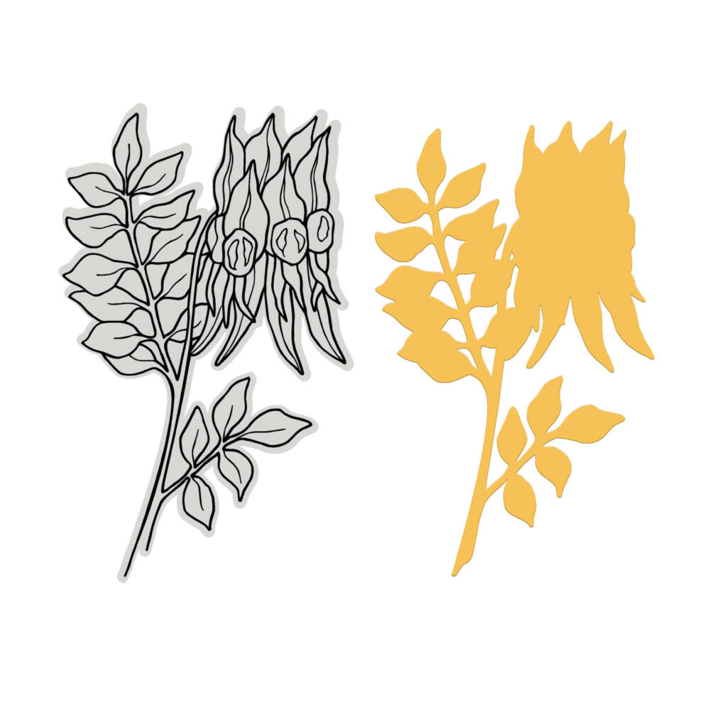 Couture Creations - Australia's Natural Beauties - Stamp and Die Set - Sturt Desert Pea - Image 2