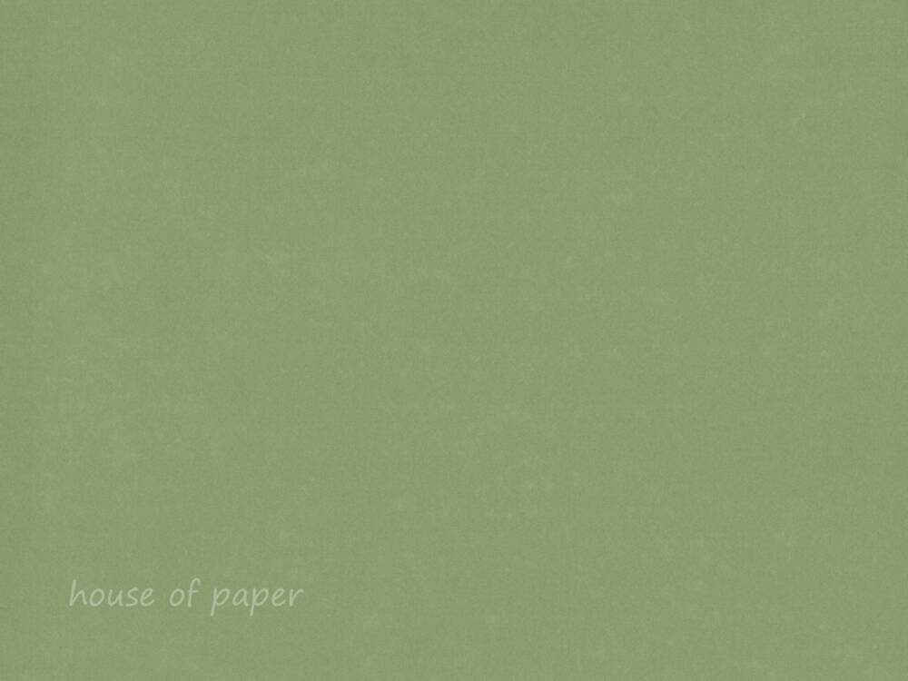 Cardstock - Smooth - Riviera - Olive - A4